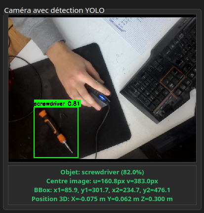 Détection YOLO Mark3